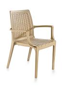 Rattan Çöl Beji Plastik Koltuk - 2524BEIGE